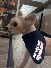 Lade das Bild in den Galerie-Viewer, Tuch - Der will nur spielen!